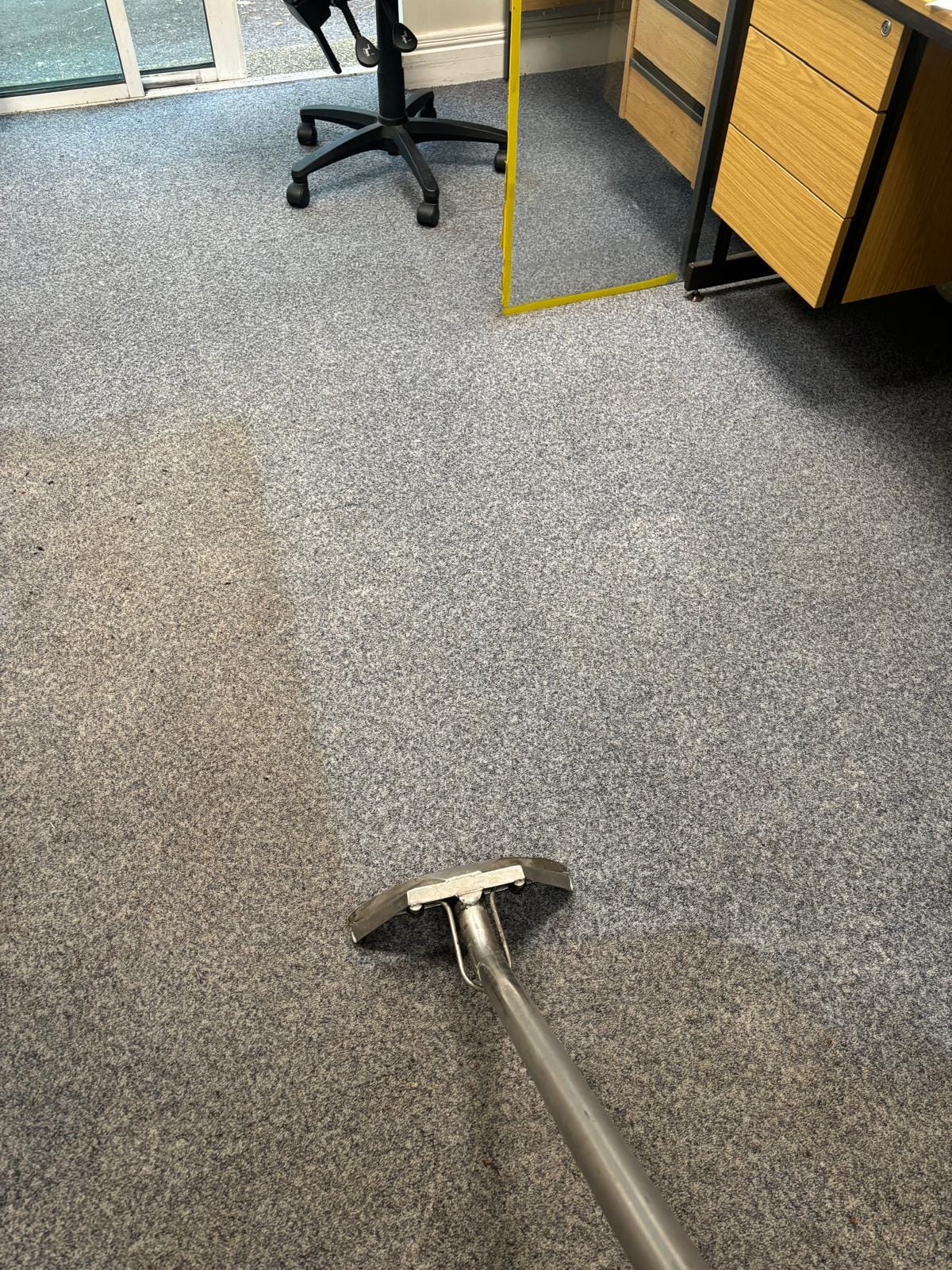 Carpet Cleaner washing a carpet